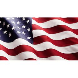 USA Flag American | Poly II